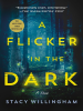 Book Cover for "A Flicker in the Dark"